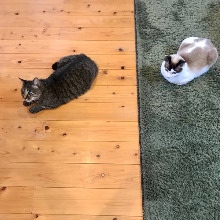 Bfd187be 7471 427d b708 92a24d9ecfa3 1585651551580