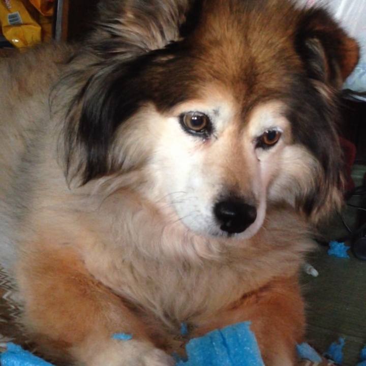 Bfd196ee d7a2 4803 8fa5 e7c23720cebb 1663395741951