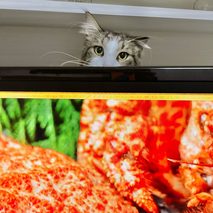 Bfd1df0d 34ae 495b 9ac1 bb1b88c92d66 1664887013768