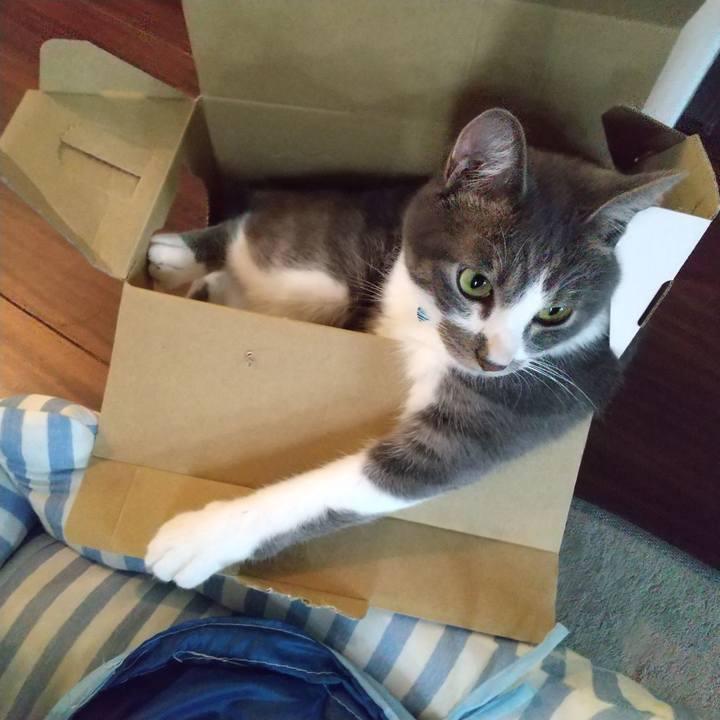 Bfd1f5f0 9649 49ec af35 0162d226a3a4 1599954529644