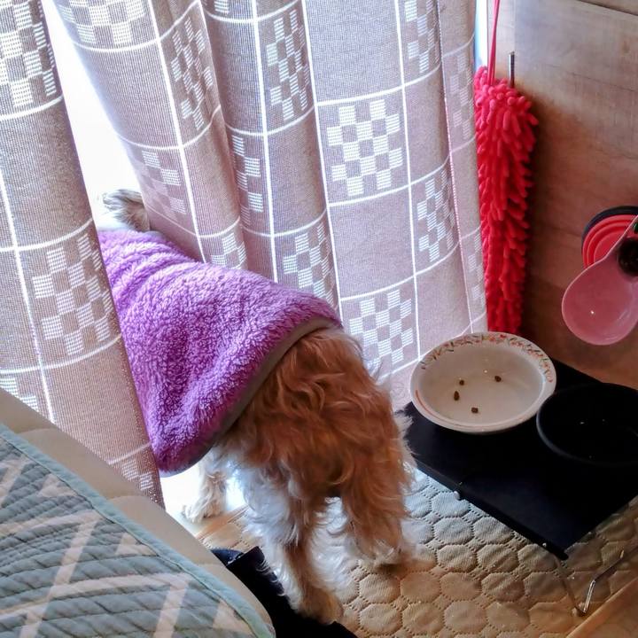 Bfd21828 7b06 4adc a7d2 5e320b74cb09 1739085605104