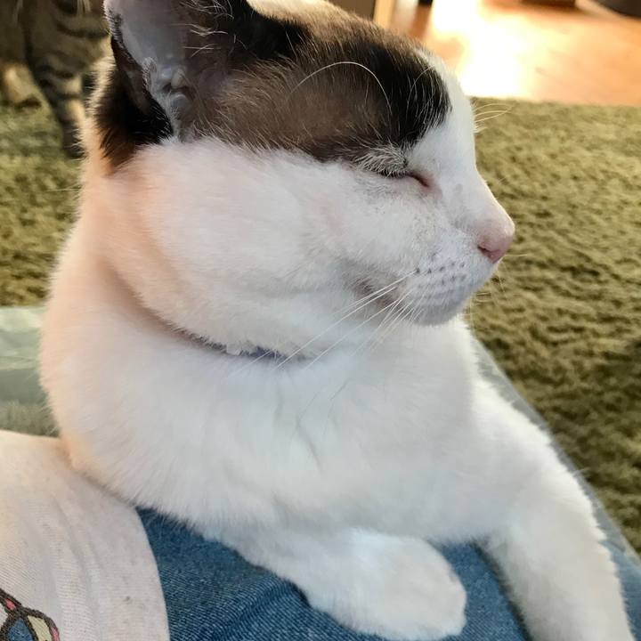 Bfd2307b 07e6 43c4 b5dc d9eefa38bb9c 1587283287791