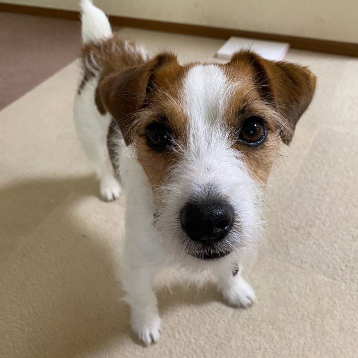 Bfd29035 e126 4480 ac8b 3e198e230113 1746960480473