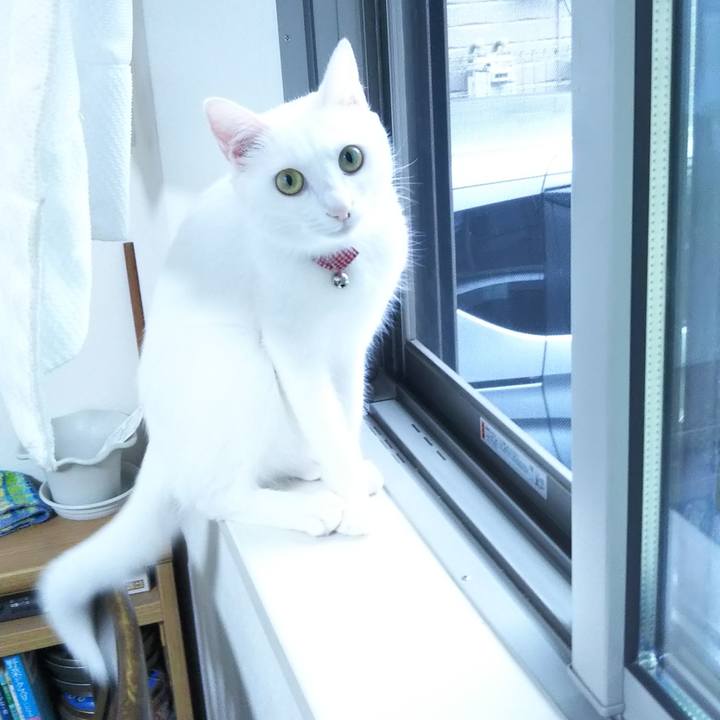 Bfd2a8a2 d6ad 42a1 82b6 294a4f3f3084 1629065648042