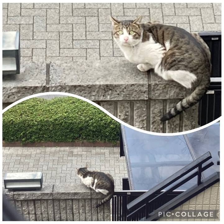 Bfd2b5e2 dd93 44a3 b768 35a88416b88d 1767081931407