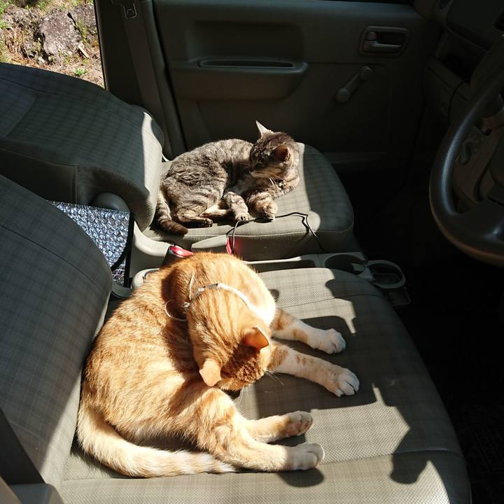 Bfd2b835 9aeb 4992 b04e 280aac7379c9 1592719482550