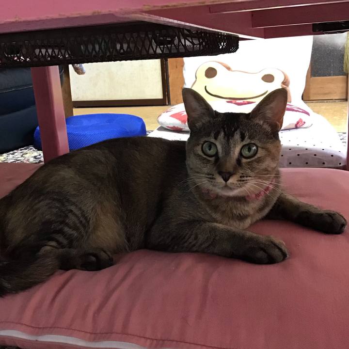 Bfd2d15a 31bd 48b6 bd96 8f48940c429b 1593333839473