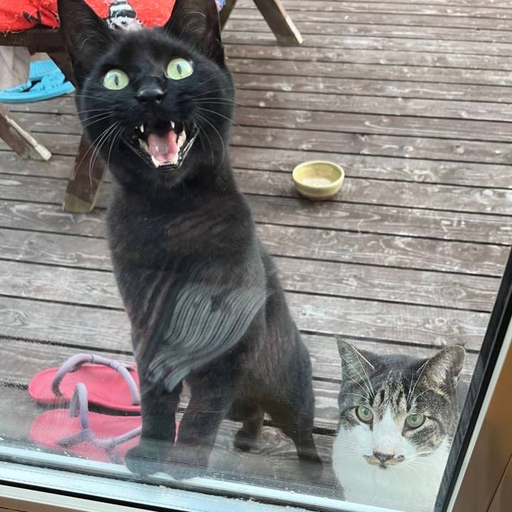 Bfd30a3c b4f6 4caf b28e cb596039f7b4 1690104823166