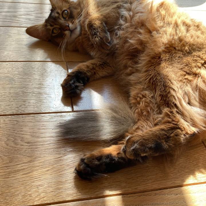 Bfd33e26 754c 4dfe 8b7b 9c2dd77c1ecf 1613447792839