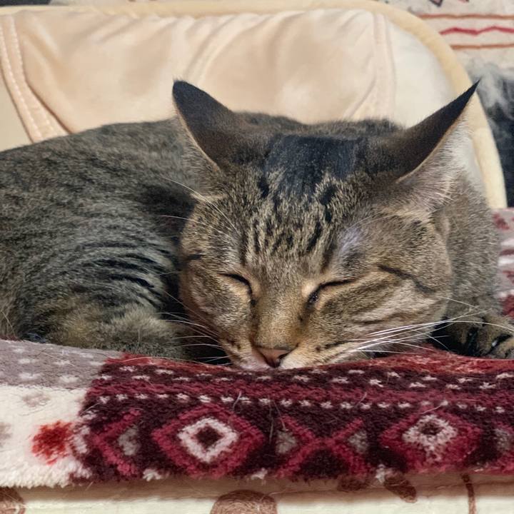 Bfd345b0 7633 4cef b791 e3781d93957b 1561196264390