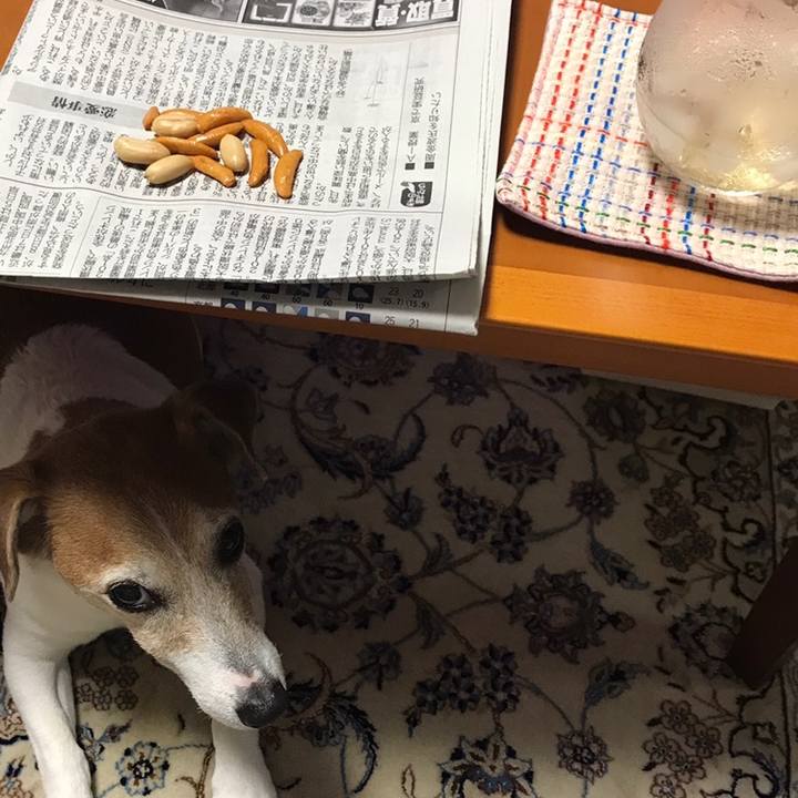 Bfd3501a abcd 442d ab00 889d005d2ea6 1559996539568