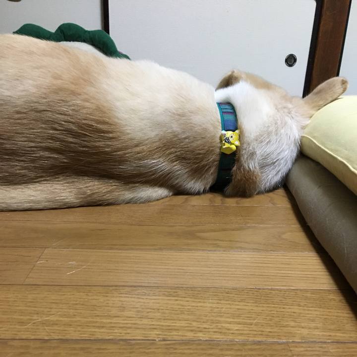 Bfd35427 cc7d 48ff 88ad e600e60e38ab 1530190790411