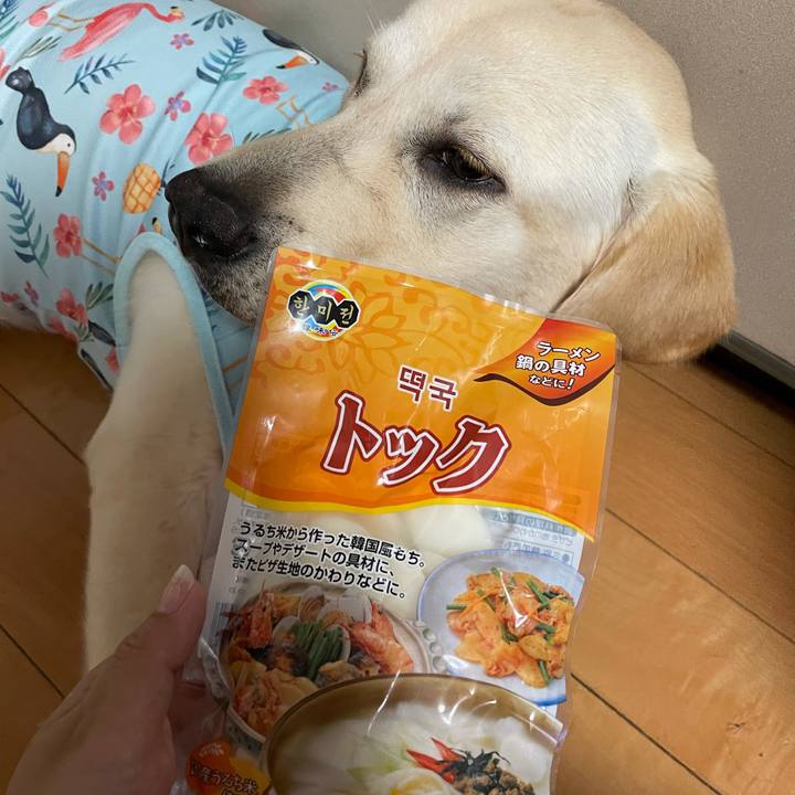 Bfd36305 8472 446d a7eb 4754aa57e2d7 1623844299077