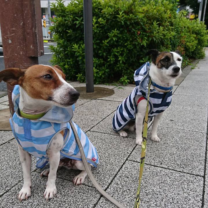 Bfd37523 509f 47ff 9956 c93680b59024 1560031075996