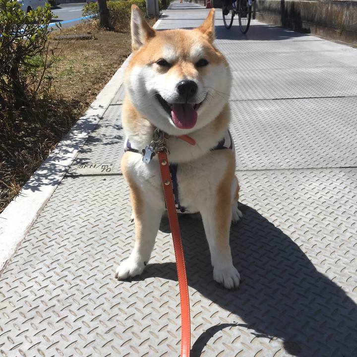 Bfd3b1a8 1d74 4a00 9934 c16afdc585df 1552876872687