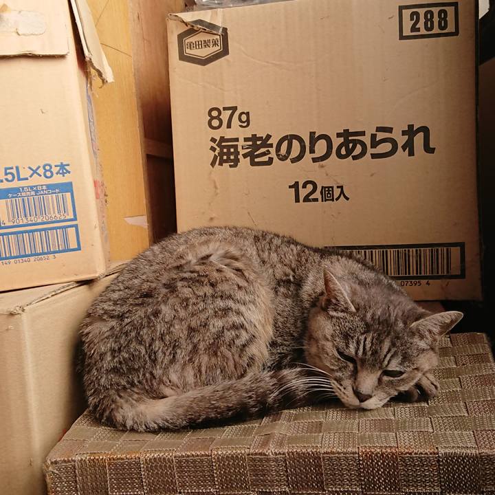 Bfd3ba3c d9be 436b 91d8 7c498ccda3d3 1573964371648