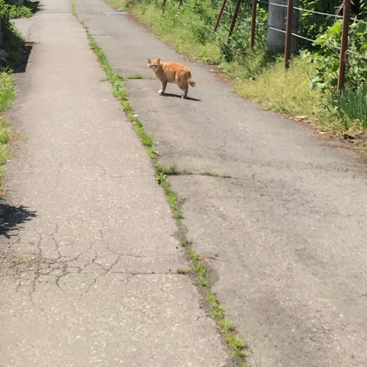 Bfd3ea8e 61aa 4055 bfcc 77325731256e 1526002407938