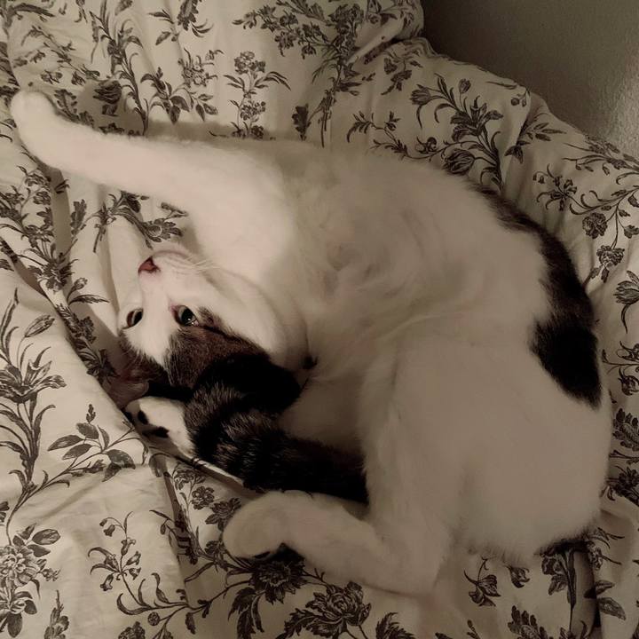 Bfd3eda3 f441 46c2 9c31 f1bca729ffcc 1606751807956