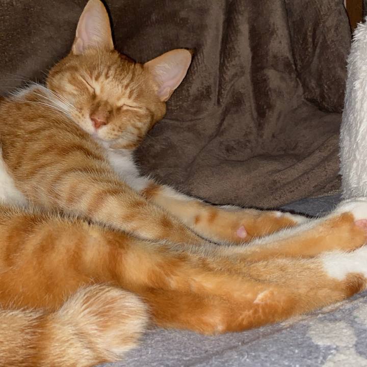 Bfd3f1e1 3418 49ab 90ba 1beb08debbbc 1709203815549