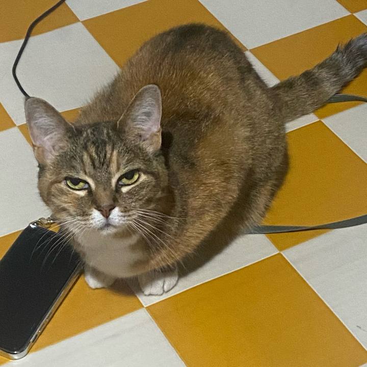 Bfd3f2f8 015f 4874 a20c fd7db070f632 1719119554901