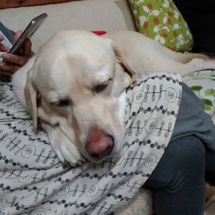 Bfd410cc 1857 4886 8a4e a8b451f903c2 1605005949843