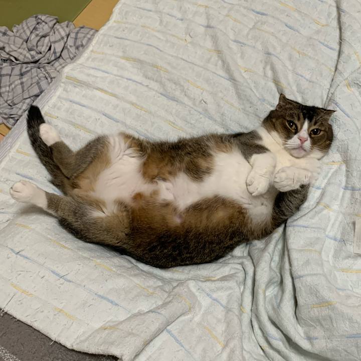 Bfd4299d faec 45b8 b366 8630d63244d0 1593877444898