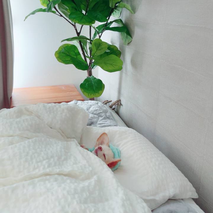 Bfd42e4c 7709 4dd5 9063 8eac8610e6f5 1700452715051