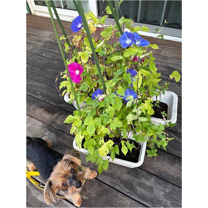 Bfd43f47 2a85 4a5a ab3e b2e347ef14b5 1758058043694