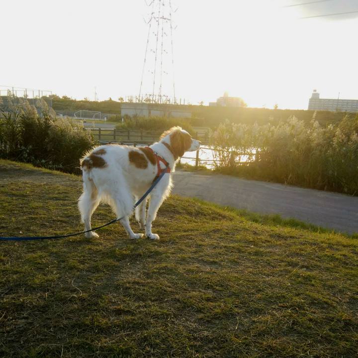 Bfd46ff3 8d31 428f 8201 b7a277e89f30 1540888212118