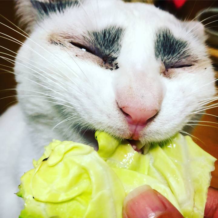 Bfd487eb 20ca 472d bcb5 8276d3cb199c 1525778413863