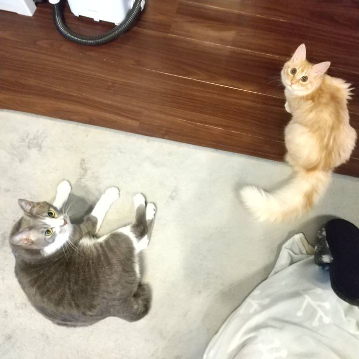 Bfd48ef8 e30a 4b57 ab5d 707366d75822 1616623214211