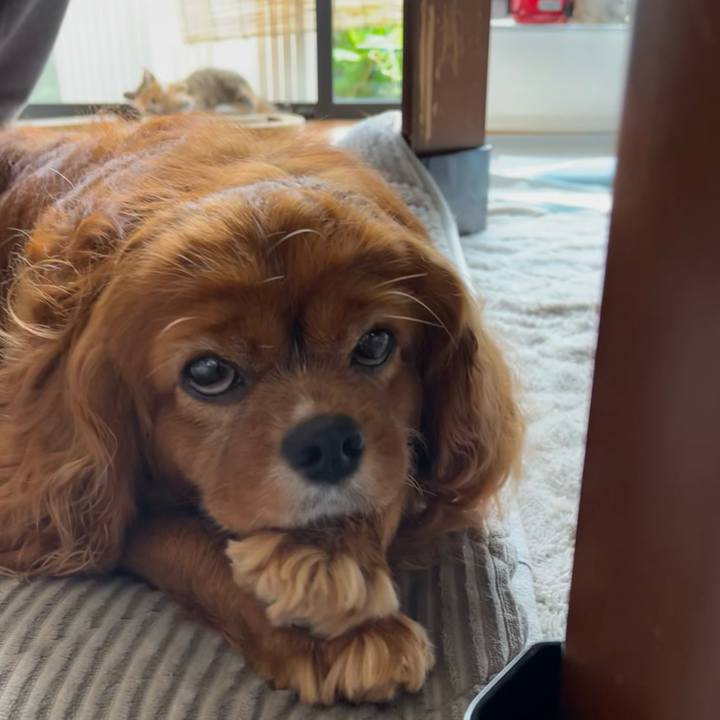 Bfd4f785 1854 4d9a b6b4 c5ea5201f2fc 1652525874367