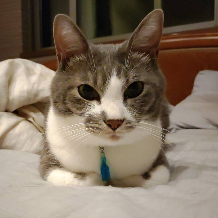 Bfd50c63 e76e 4360 b90d 2f6f4074da5a 1664542569201