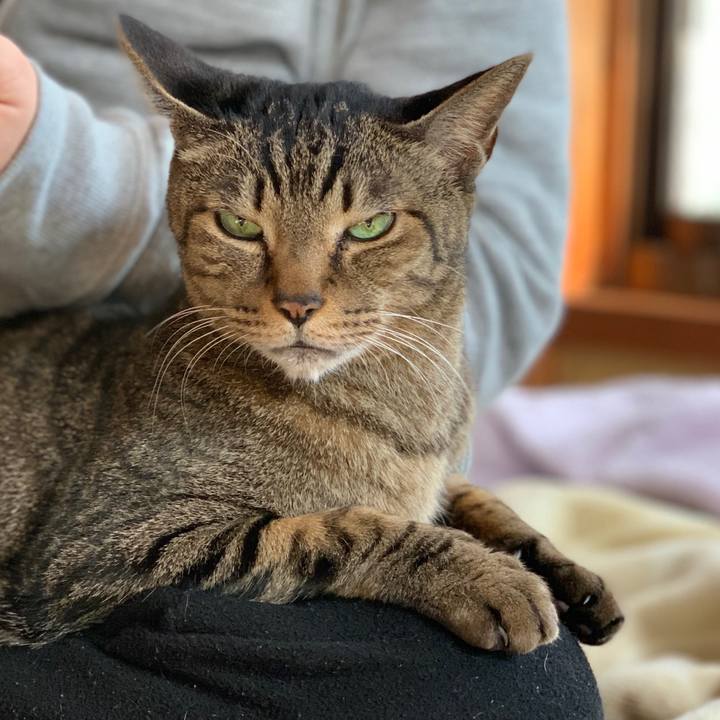 Bfd56929 c57d 45b1 aa80 884f71d1e08e 1581382919053