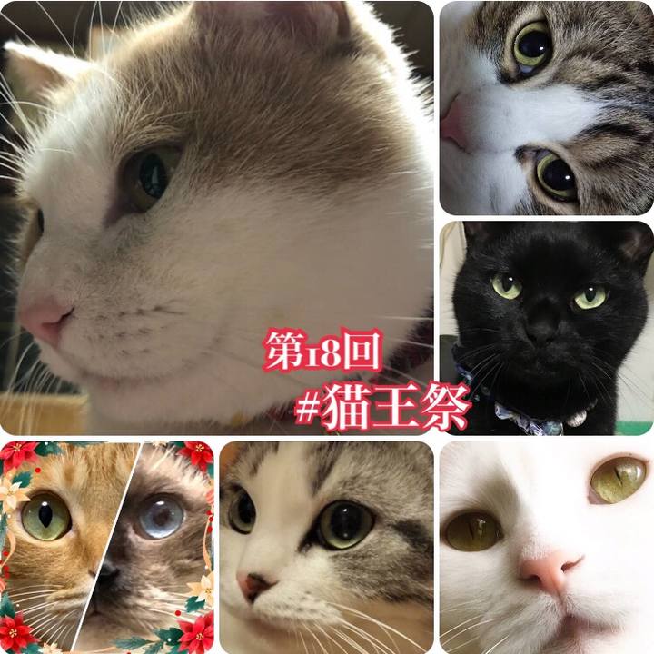 Bfd62739 f323 4528 8b14 856cdaeb959e 1579492124977