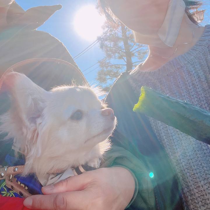 Bfd6299f 96b4 4122 bf7e 81ea6c51883d 1672563458494