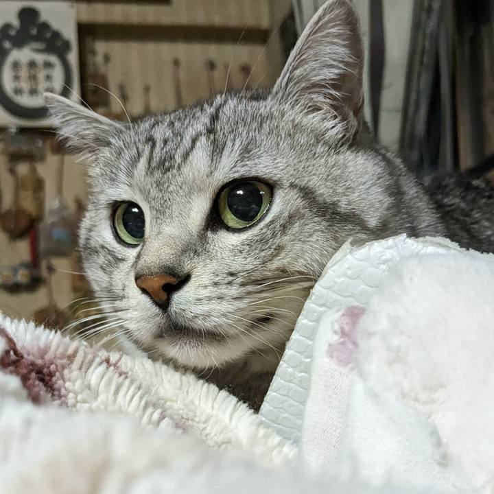 Bfd64229 f904 4751 b4f6 de85d791f5b6 1710251648151