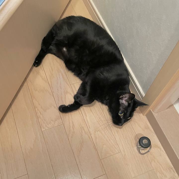 Bfd6587f 6738 46ed a7d1 c5f29c1bae16 1693578223637