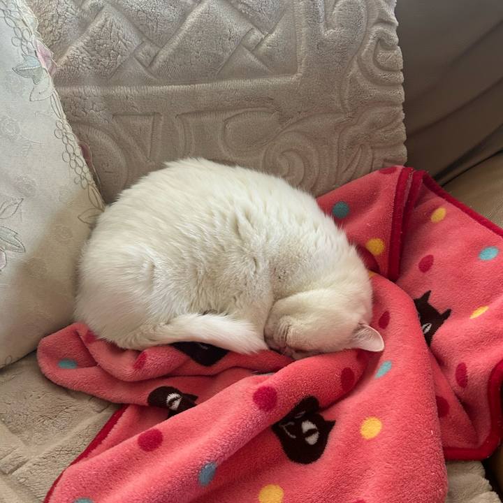 Bfd6a1be 6888 43f7 8b12 a5dd38ed535b 1706709013996