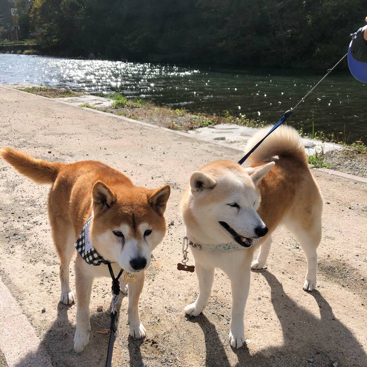 Bfd6fe8b b247 405e 9138 c56e771ea7cd 1573382763731