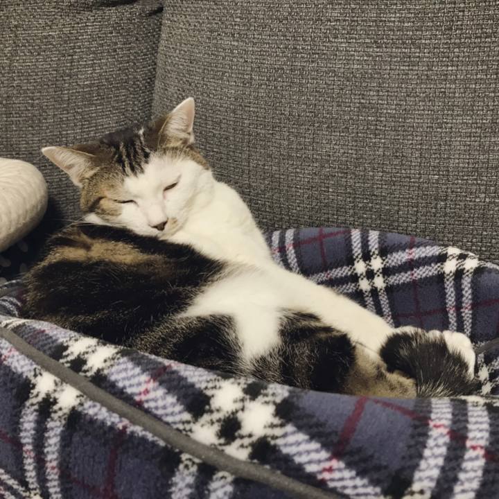 Bfd7088e 86c9 4fe5 8cbc 2f4c42faacb4 1540184433556