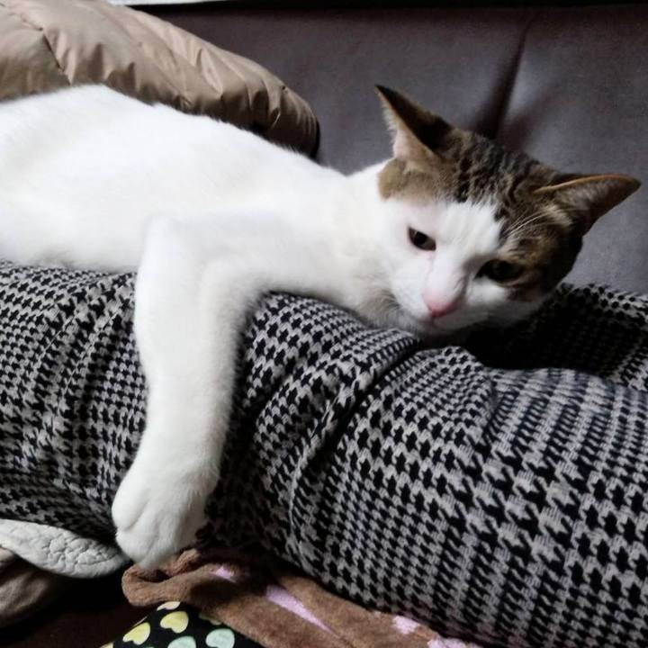 Bfd71933 c3d2 4a03 a706 49b1b5f92541 1706957534832