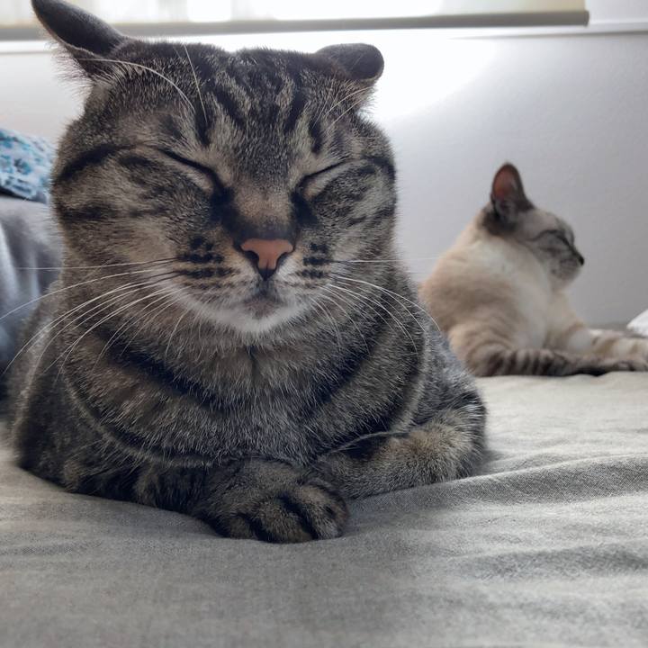 Bfd75df6 6faa 4ed2 8c39 cfe15cb91053 1621059681887