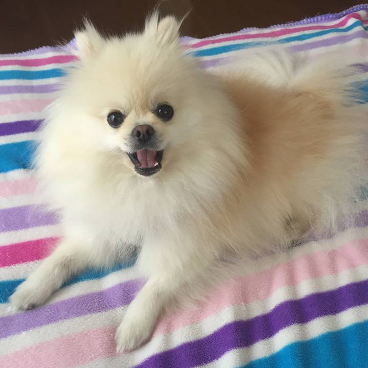 Bfd76267 e5c9 4a59 99d6 a7a609428e4e 1541459793832