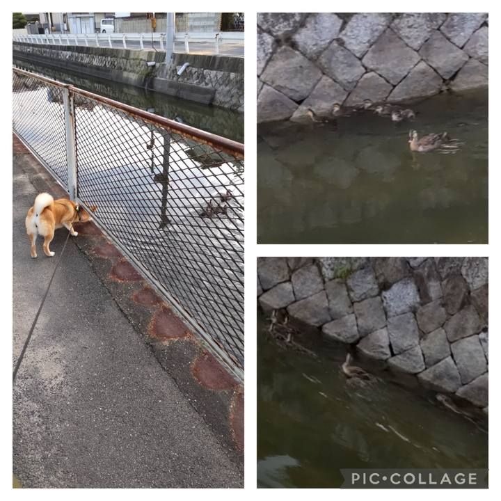 Bfd776dc 1075 47ed 8789 a17625782b64 1687209387236