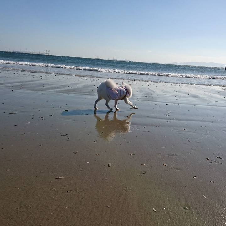 Bfd794e5 5a53 4269 bf2a 7c12cdac4b16 1541841613877