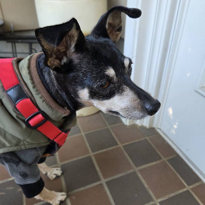 Bfd79941 1e73 4dd9 94aa ef9269ce477d 1769909993685