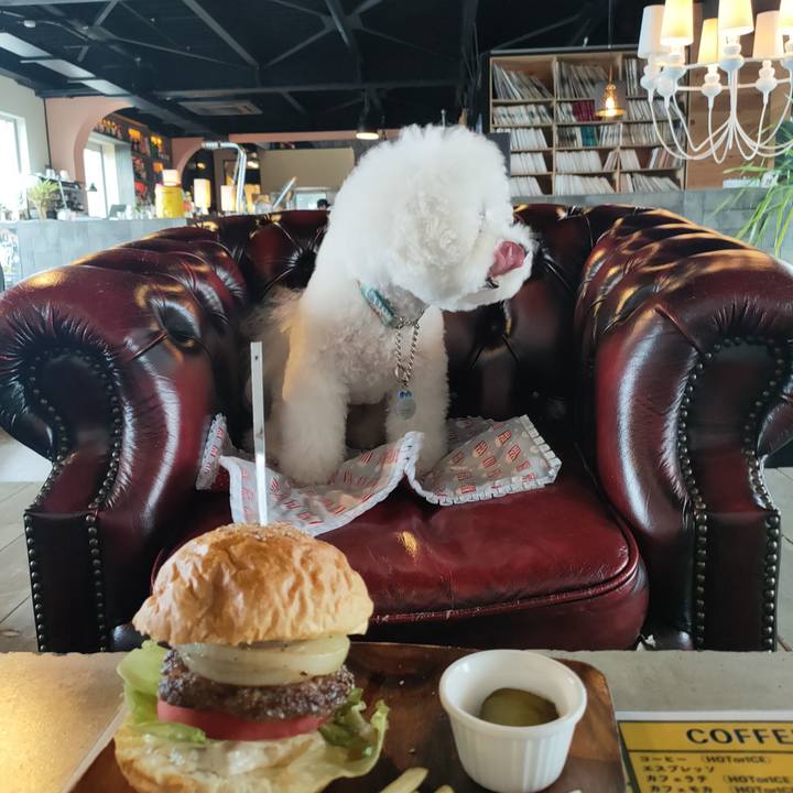 Bfd7cb57 f269 4493 8cd2 c1b2ef414869 1761457805761