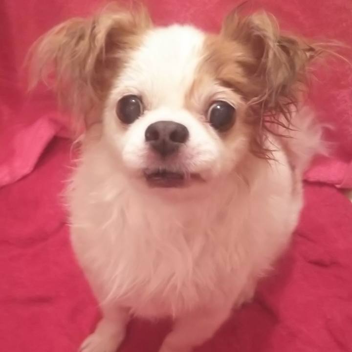 Bfd7cf30 8af7 4b33 8c1c d301b9ff8a91 1612092601877