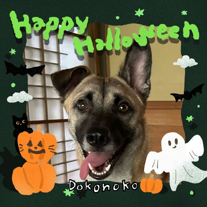 Bfd7e2cd 3b12 4199 a6fe 9aaf93691dd9 1730373124136